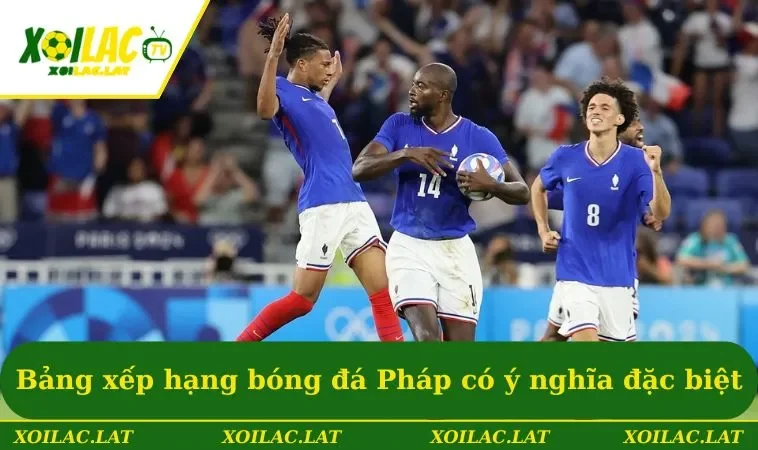 Bảng Xếp Hạng Bóng Đá Pháp - Thông Tin Cập Nhật Mới Nhất 2 Bảng xếp hạng bóng đá Pháp có ý nghĩa đặc biệt