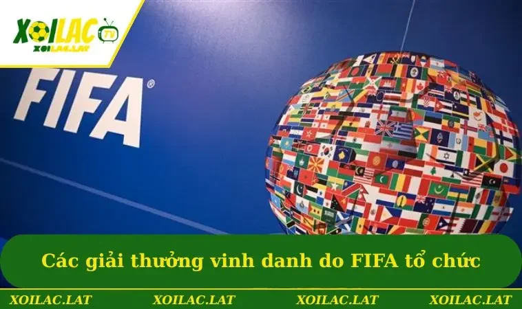 Liên Đoàn Bóng Đá Quốc Tế - Trung Tâm Quyền Lực Giới Túc Cầu 3 Các giải thưởng vinh danh do FIFA tổ chức