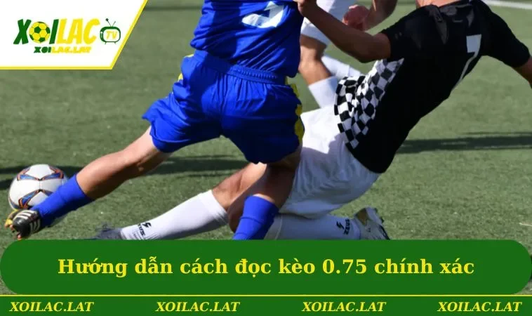 Kèo 0.75 - Kinh Nghiệm Bắt Kèo Cực Chuẩn Xác Từ XOILAC 2 Hướng dẫn cách đọc kèo 3/4 chính xác