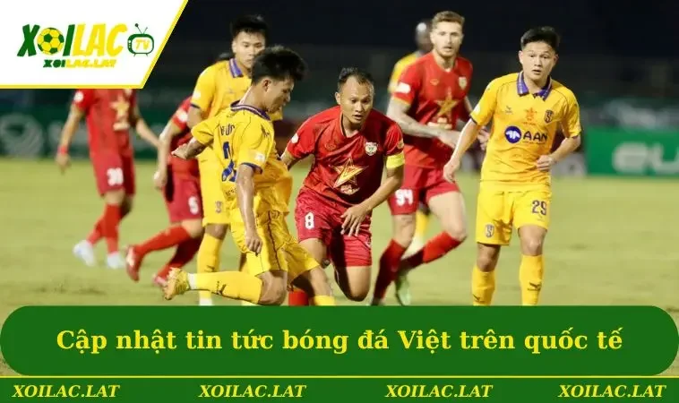 Tin Bóng Đá Việt Nam Mới Nhất - Cập Nhật Nhanh Và Đầy Đủ 3 Cập nhật tin tức bóng đá Việt trên trường quốc tế