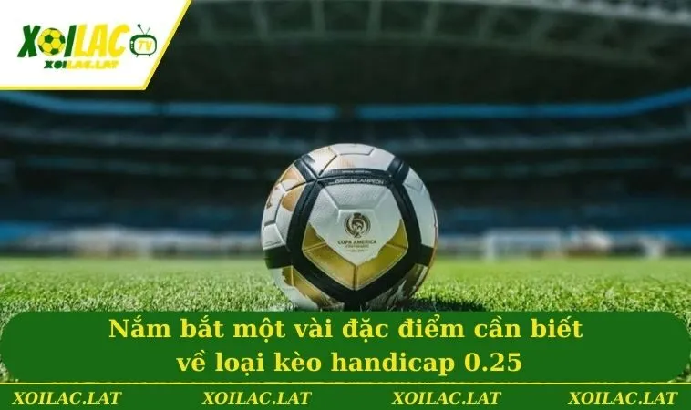 Kèo 0.25 - Cụ Thể Về Khái Niệm, Cách Chơi Và Mẹo Đặt Cược 2 Nắm bắt một vài đặc điểm cần biết về loại kèo handicap 0.25