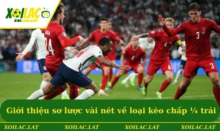 Kèo 0.25 - Cụ Thể Về Khái Niệm, Cách Chơi Và Mẹo Đặt Cược 1 Giới thiệu sơ lược vài nét về loại kèo chấp 1/4 trái