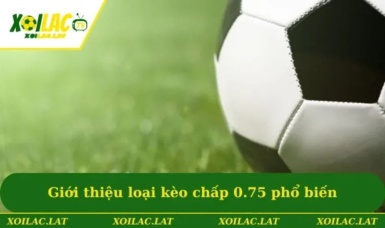 Kèo 0.75 - Kinh Nghiệm Bắt Kèo Cực Chuẩn Xác Từ XOILAC 1 Giới thiệu loại kèo chấp 0.75 phổ biến