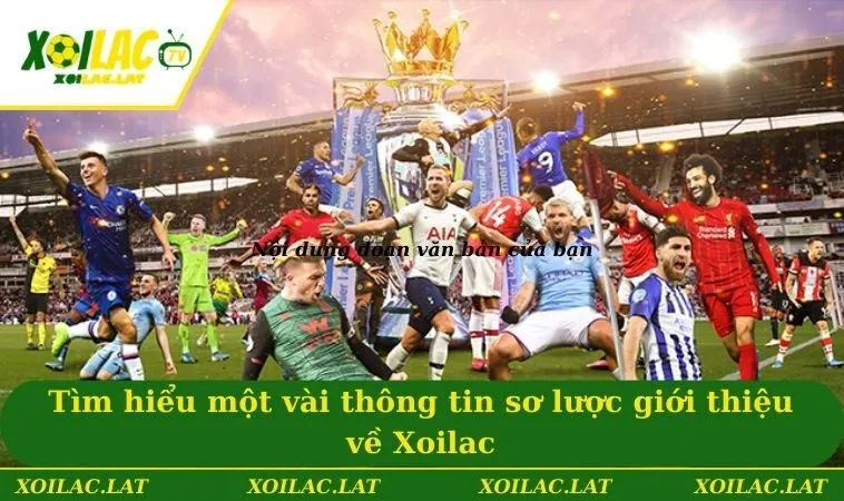 Giới Thiệu XOILAC Và Những Thông Tin Cơ Bản Cần Nắm Bắt 1 Tìm hiểu một vài thông tin sơ lược giới thiệu về Xoilac