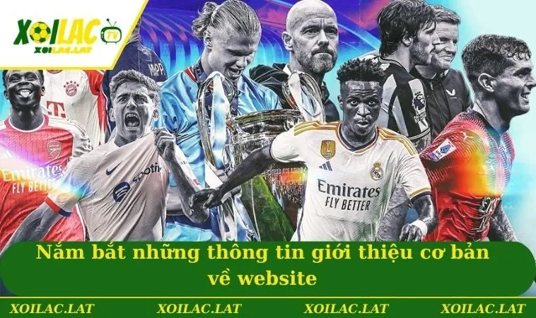 Giới Thiệu XOILAC Và Những Thông Tin Cơ Bản Cần Nắm Bắt 2 Nắm bắt những thông tin giới thiệu cơ bản về website