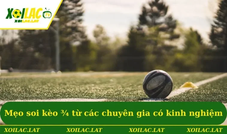 Kèo 0.75 - Kinh Nghiệm Bắt Kèo Cực Chuẩn Xác Từ XOILAC 3 Mẹo soi kèo 3/4 từ các chuyên gia có kinh nghiệm