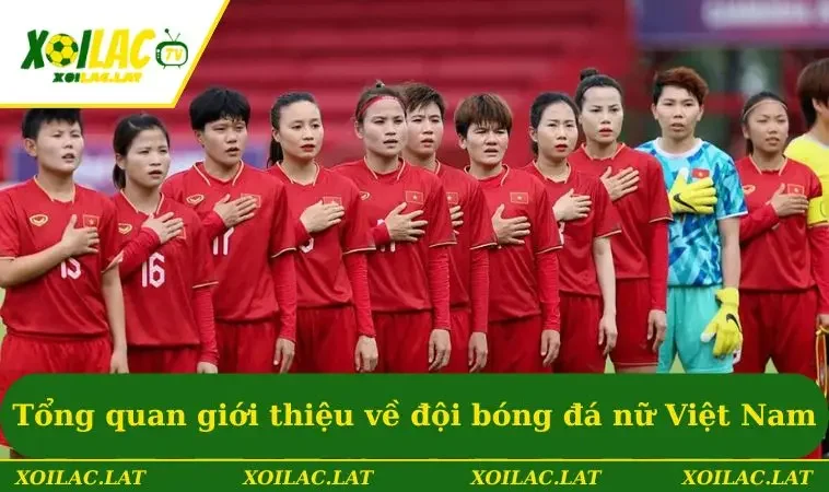 Bóng Đá Nữ Việt Nam Và Hành Trình Chinh Phục World Cup 1 Tổng quan giới thiệu về đội bóng đá nữ Việt Nam